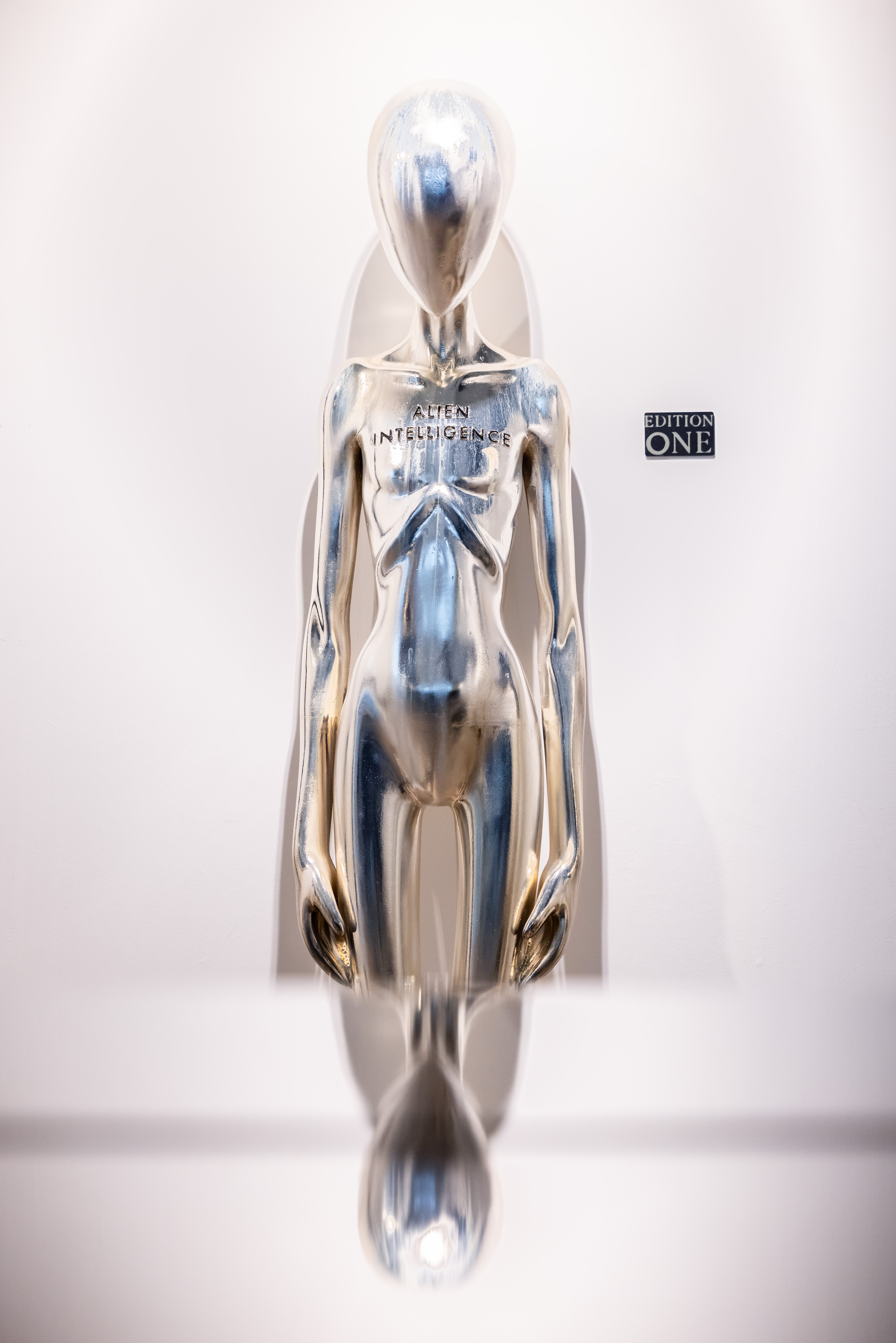 77 - MB_Studio_-77.jpeg